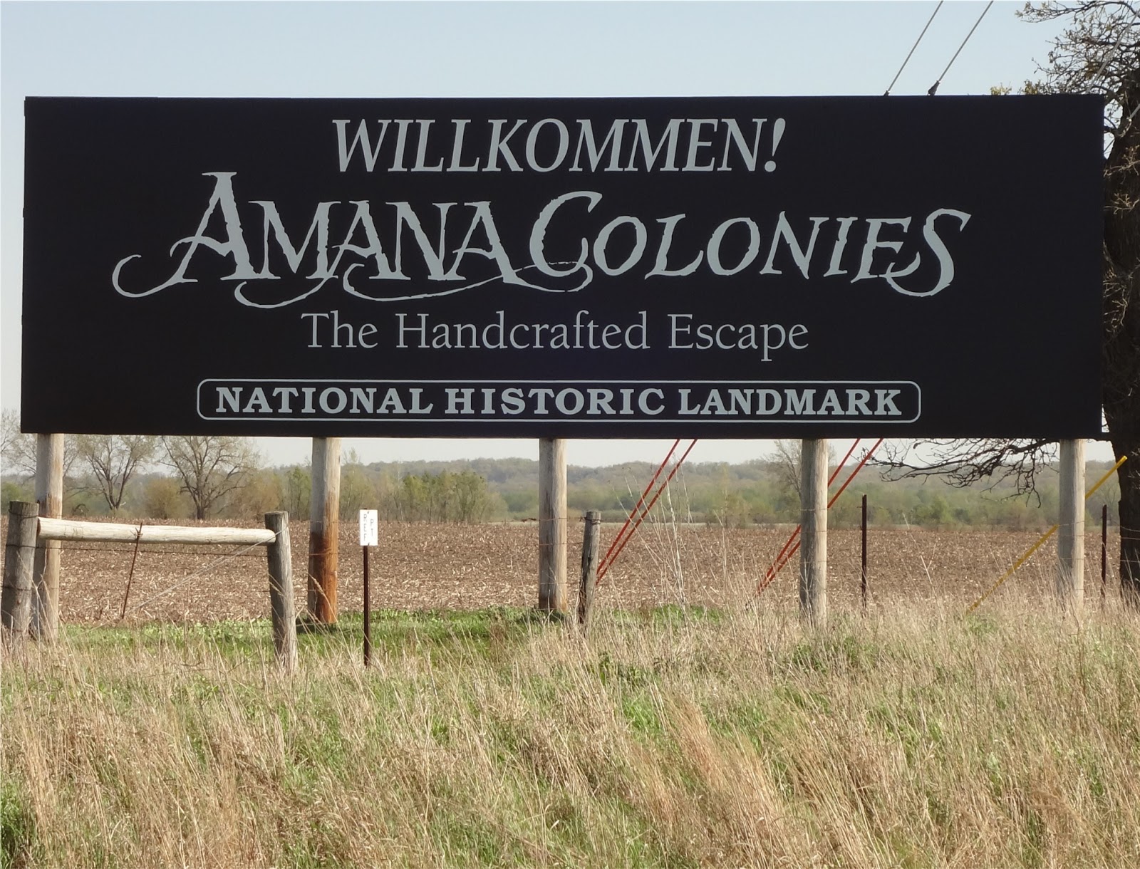 Amana